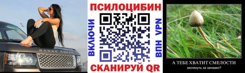 Купить закладки  Никольское  Псилоцибиновые грибы мухоморы 